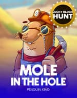 Mole in the Hole
